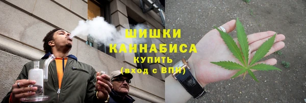мет Касимов
