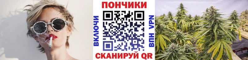 Марихуана THC 21%  Купить где  Белорецк 